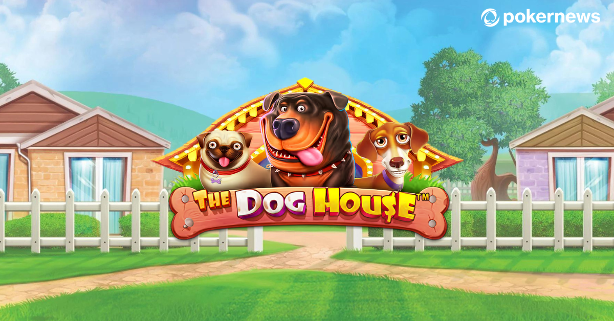 Слот The Dog House в казино Волна
